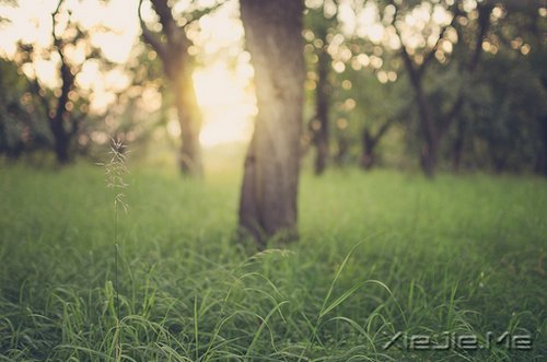 别总觉得这个世界欠你的,永远不要