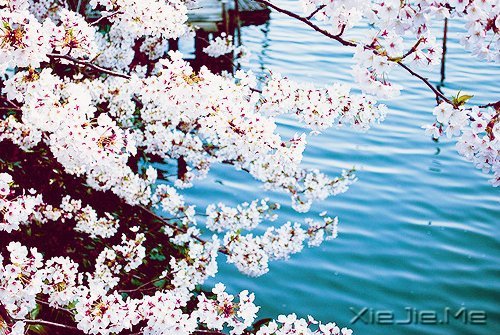 ������Լ���10��Լ�� (6)