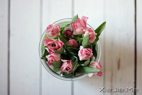 �������������������������� (2)