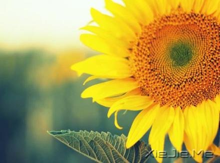 经典语录:你的世界,就是整个世界 (1)