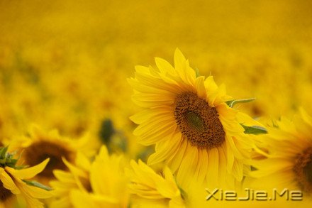 经典语录:你的世界,就是整个世界 (7)