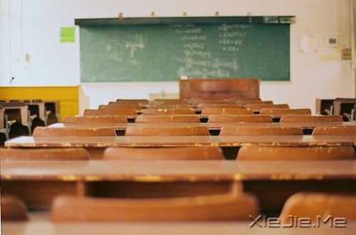 ���ڱ�ҵ��20�׸����Ƽ� (12)