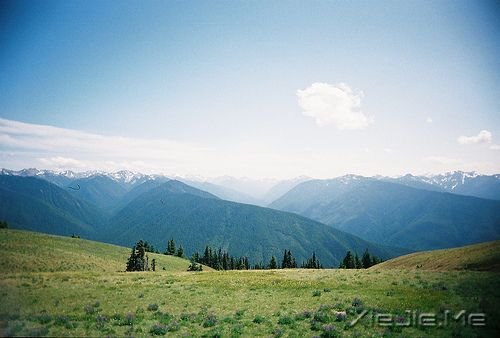 人有了心胸,就可以用它来改变自己的生活