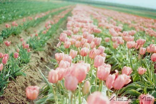 文字:八味人生良药 (5)