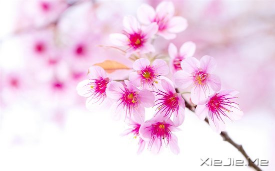 ���֣�Ҫ������ʮ���� (7)