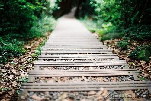 文字:我们都缺少改变自己的勇气