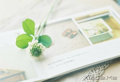 文字:两个温暖的小故事