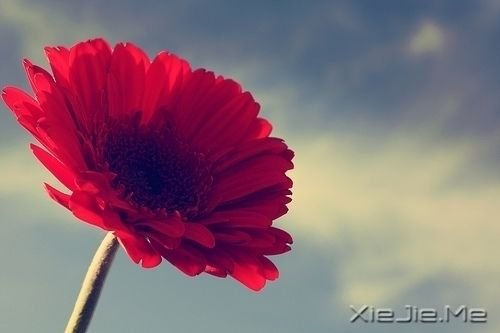 学会忽略,学会忘记