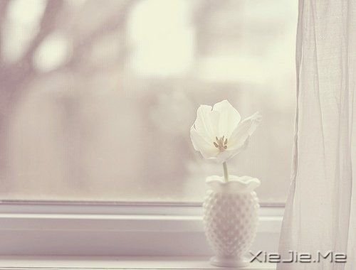 人生路上的50条经典语句 (2) 人生路上的50条经典语句 (2)