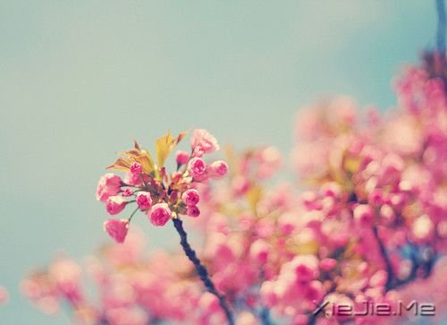 一个人成功与否,主要取决于他的心态